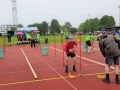 20190525_121359-3_WSt